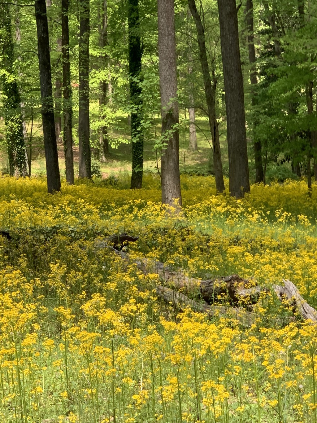 Fragments (The parts don’t make the whole) Pt.&nbsp;II